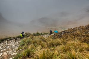 BIRDWATCHING INCA TRAIL | Photo Expedition | 5 days | Photo Tours Perú